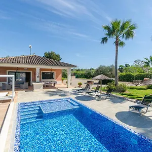 Yourhouse Romani , Muro Spanien